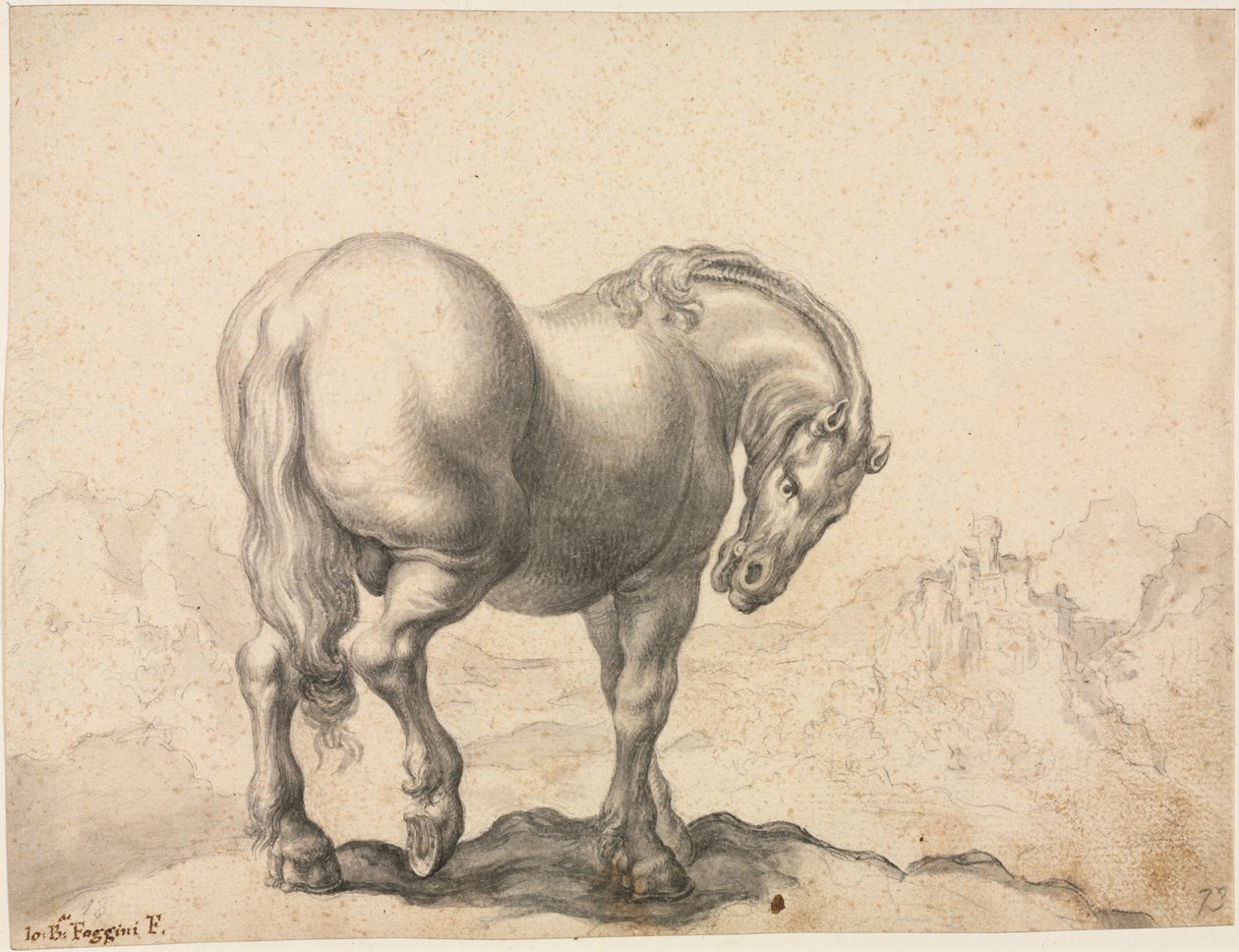 Study of a Stallion by Giovanni Battista Foggini