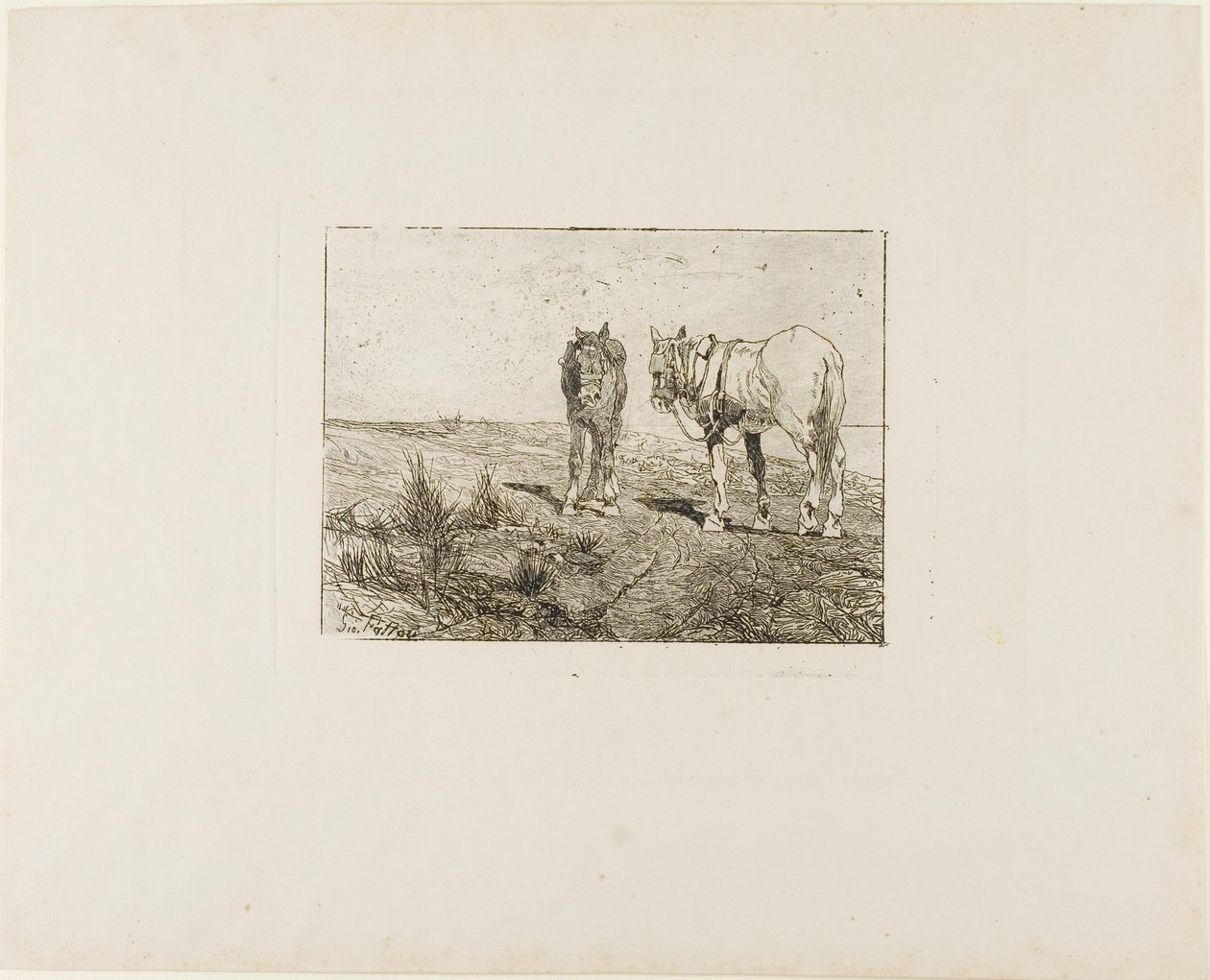 Horses
