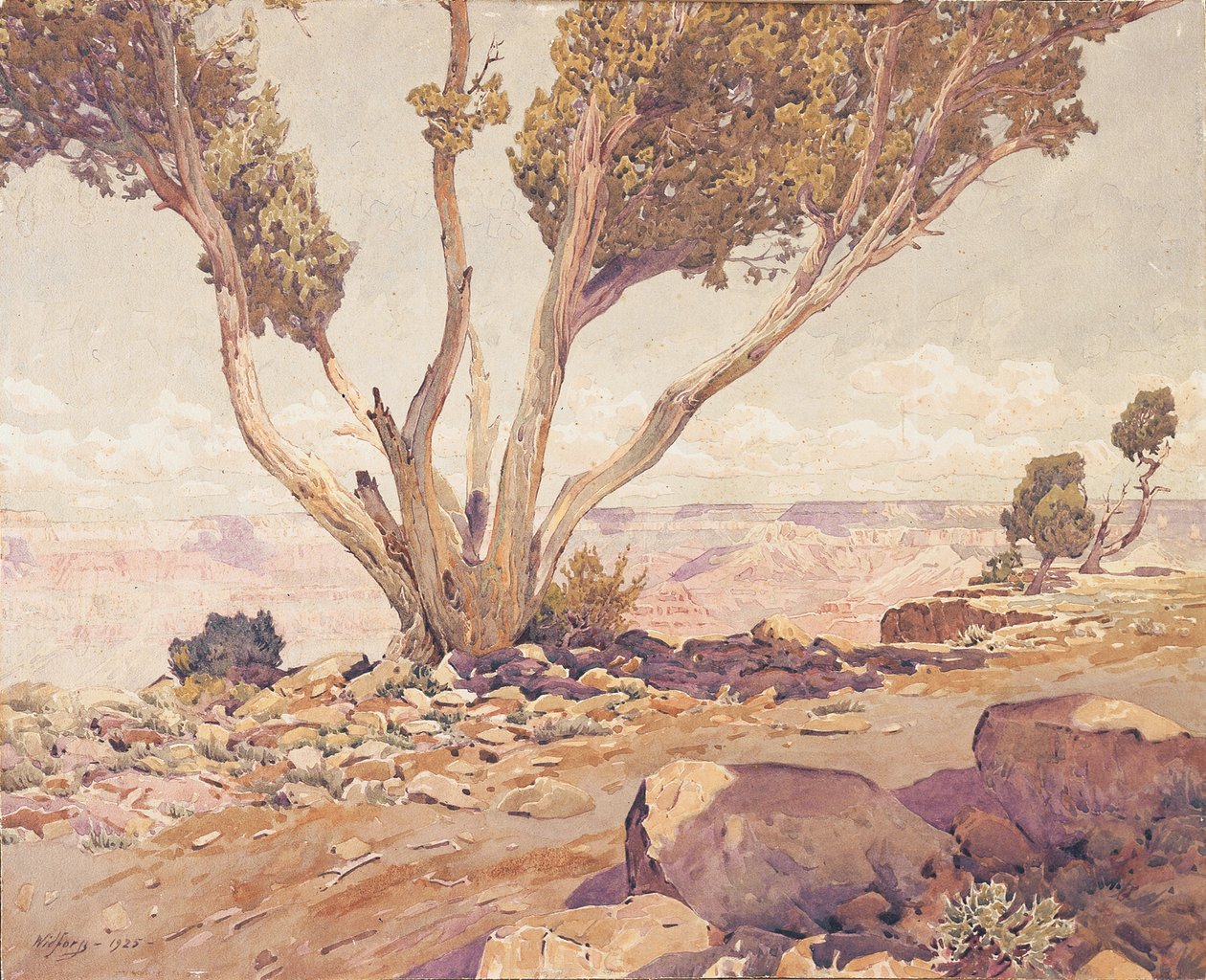 Grand Canyon by Gunnar Widforss