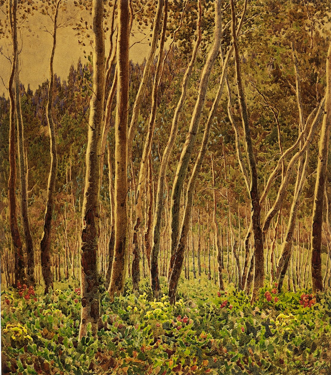 Sunlit Birches by Gunnar Widforss