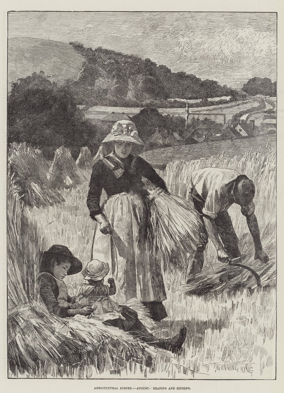 Agricultural Scenes, August, Reaping and Binding by Gunning King