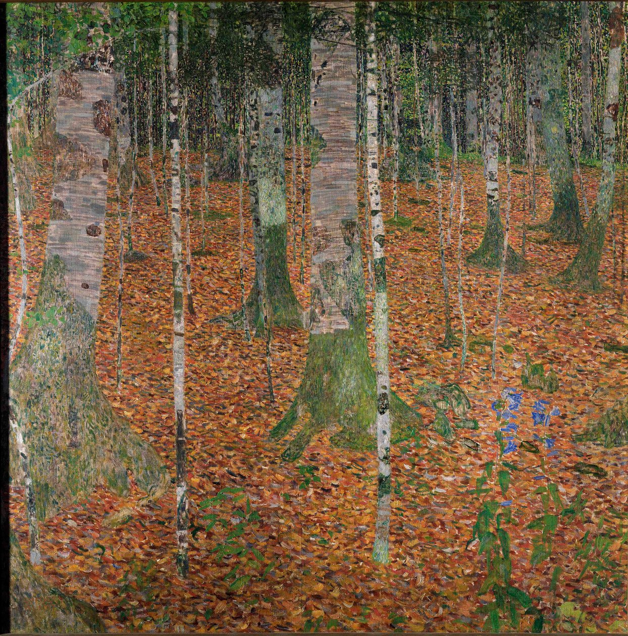 Birch Forest by Gustav Klimt