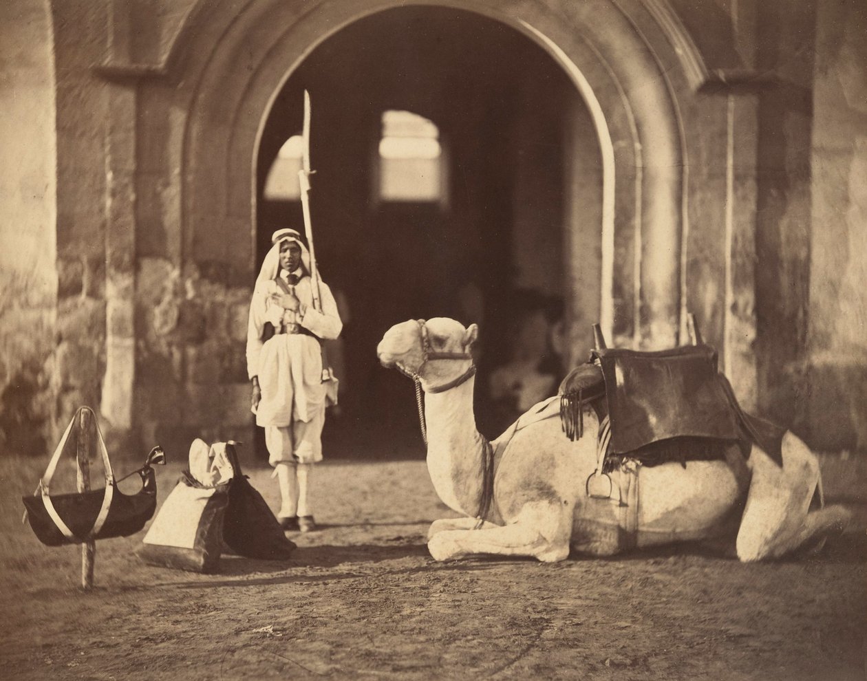 Camel Lying Down by Gustave Le Gray
