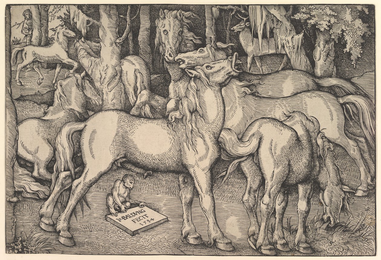 Group of Seven Horses by Hans Baldung