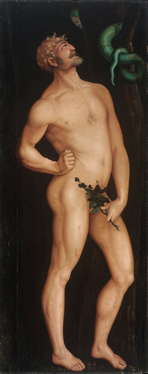 Adam by Hans Baldung Grien