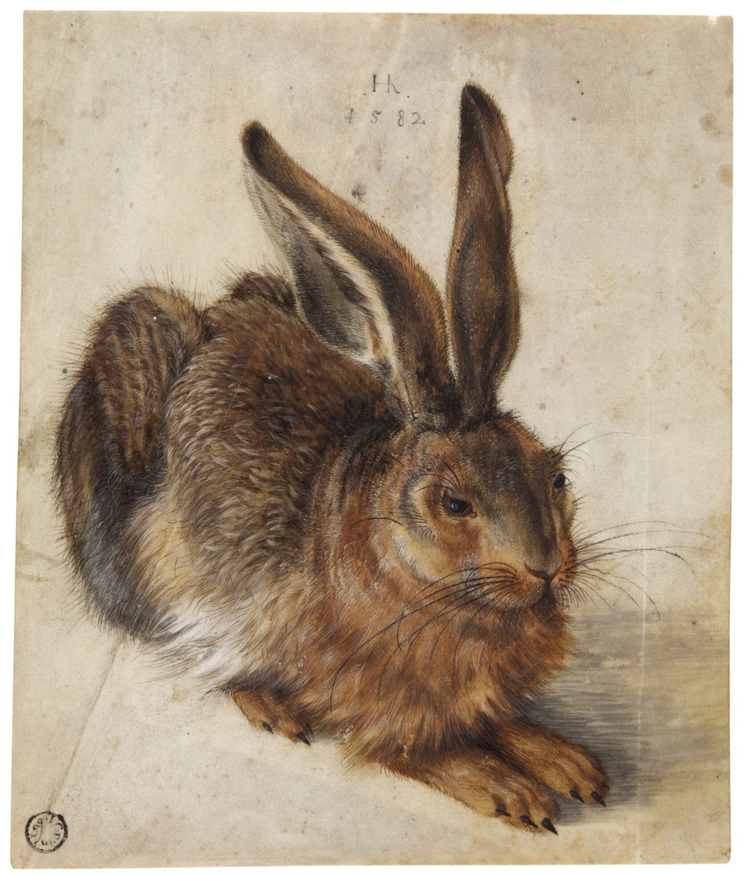 A Hare by Hans Hoffmann