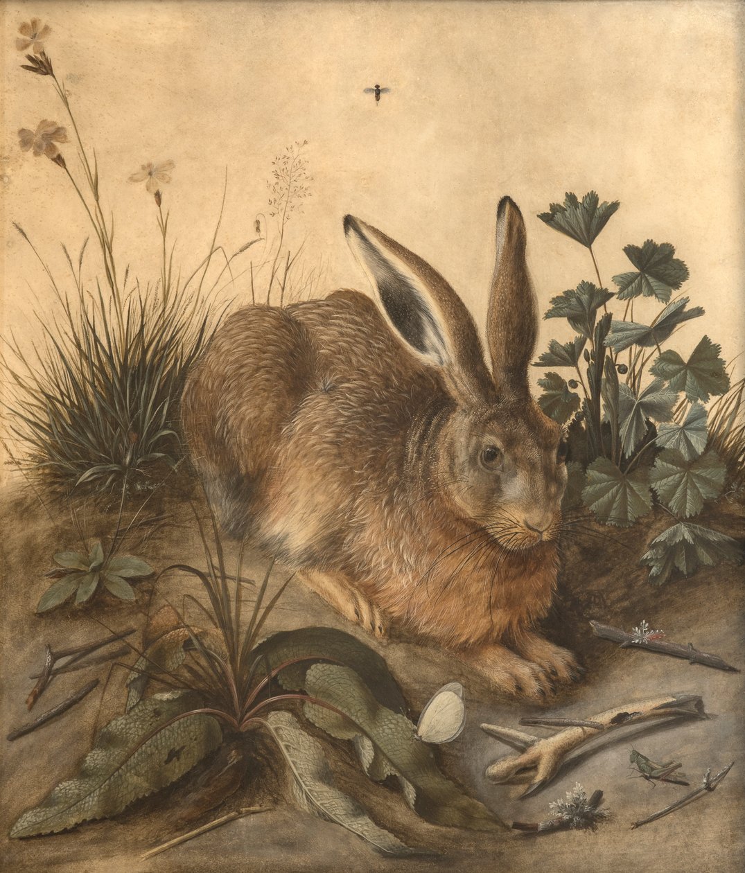 The Hare by Hans Hoffmann