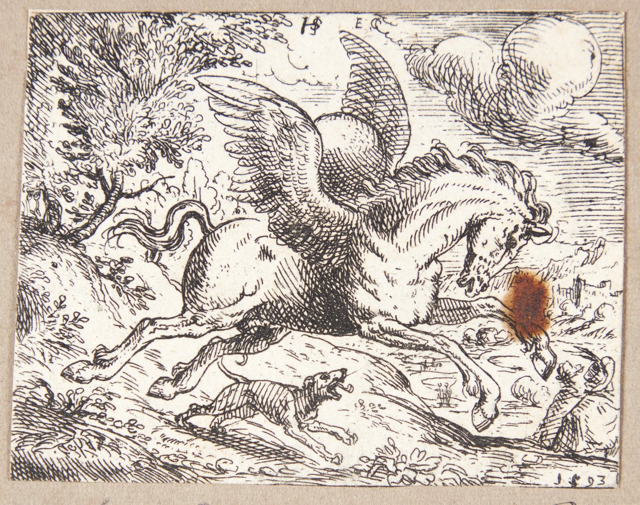 Pegasus by Hans Strohmayer