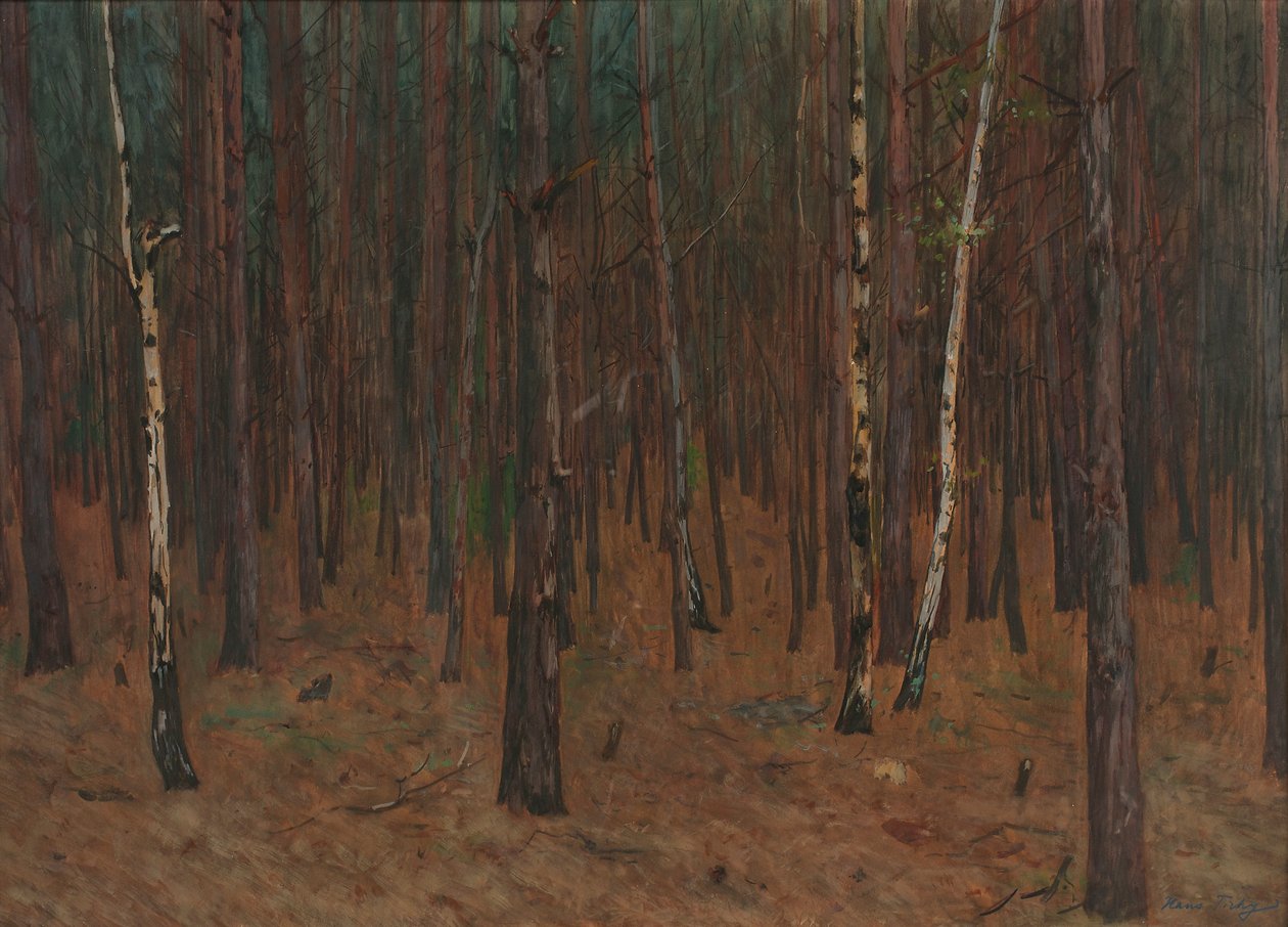 Forest Interior by Hans Tichy