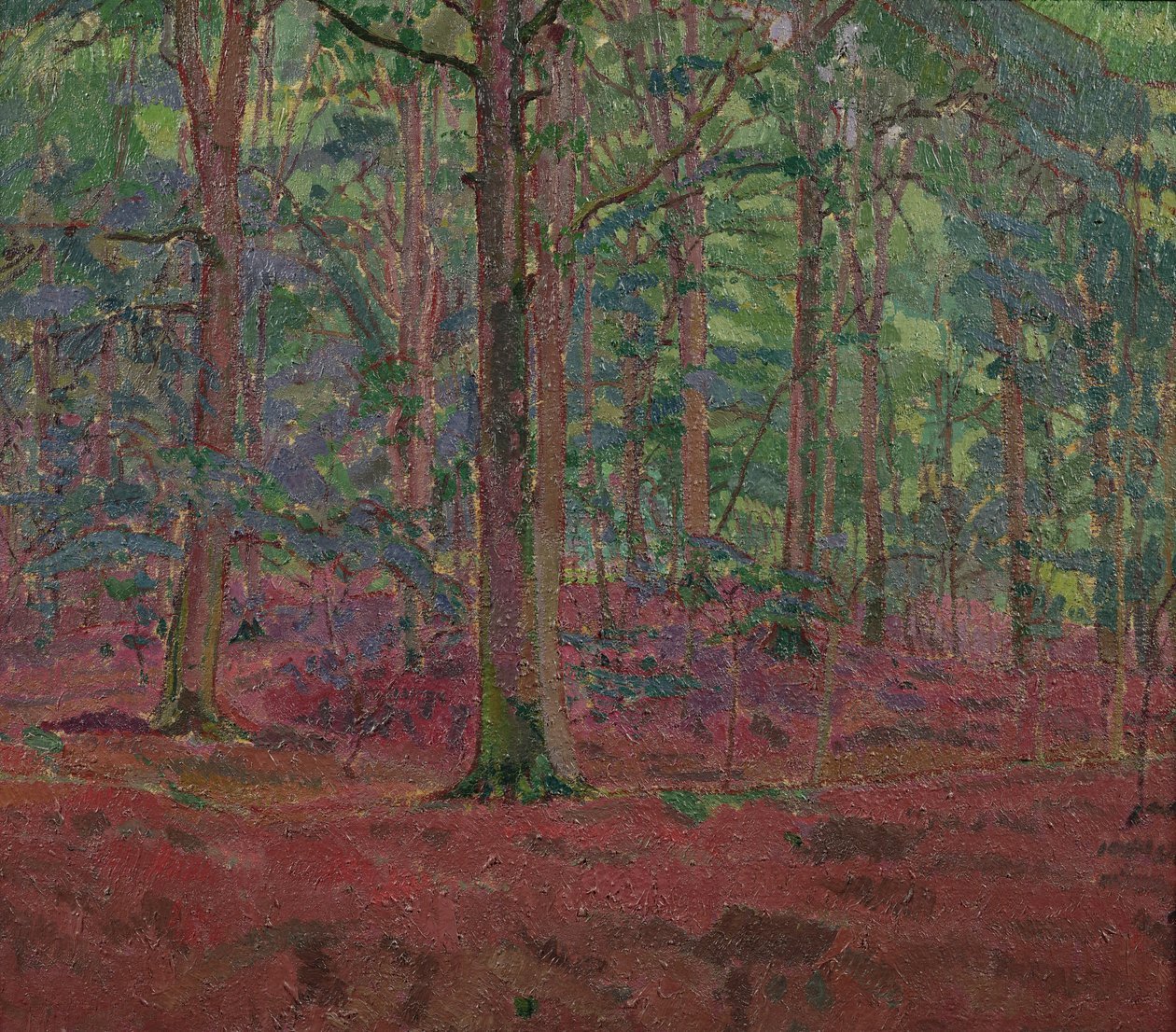 A Beech Wood by Harold Gilman
