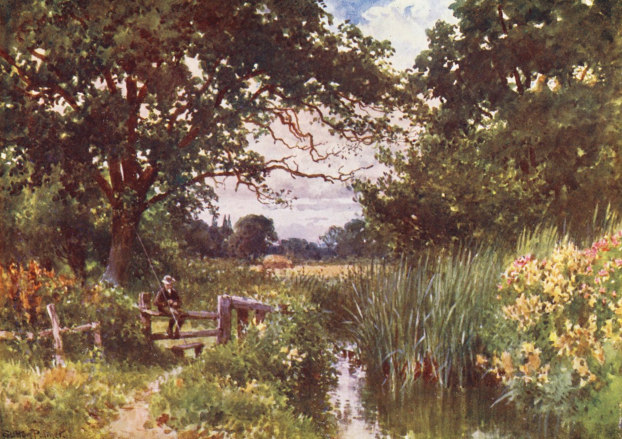 Near Chobham by Harold Sutton Palmer