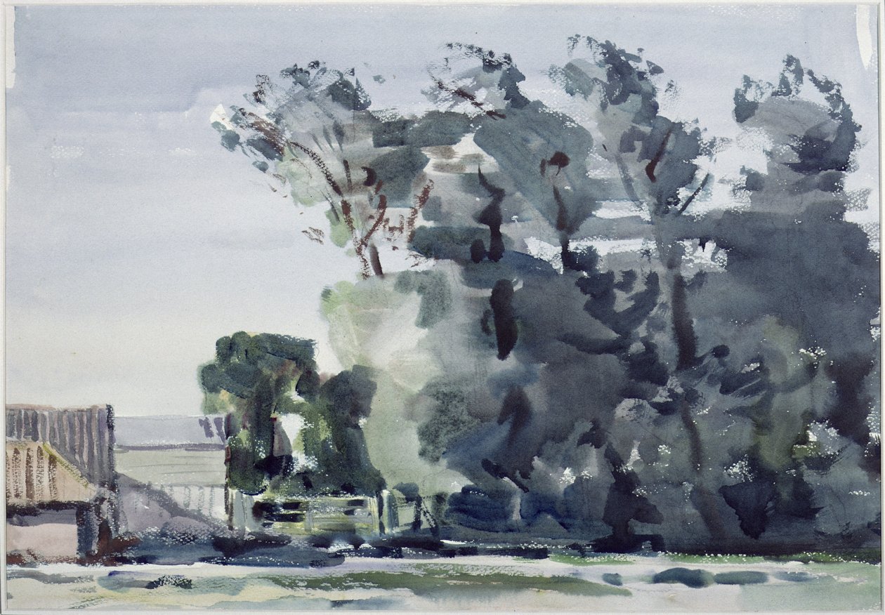 Trees - Dawn by Harry Becker