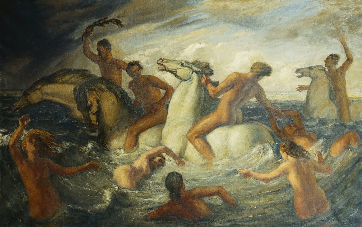 The Sea Race by Harry Morley