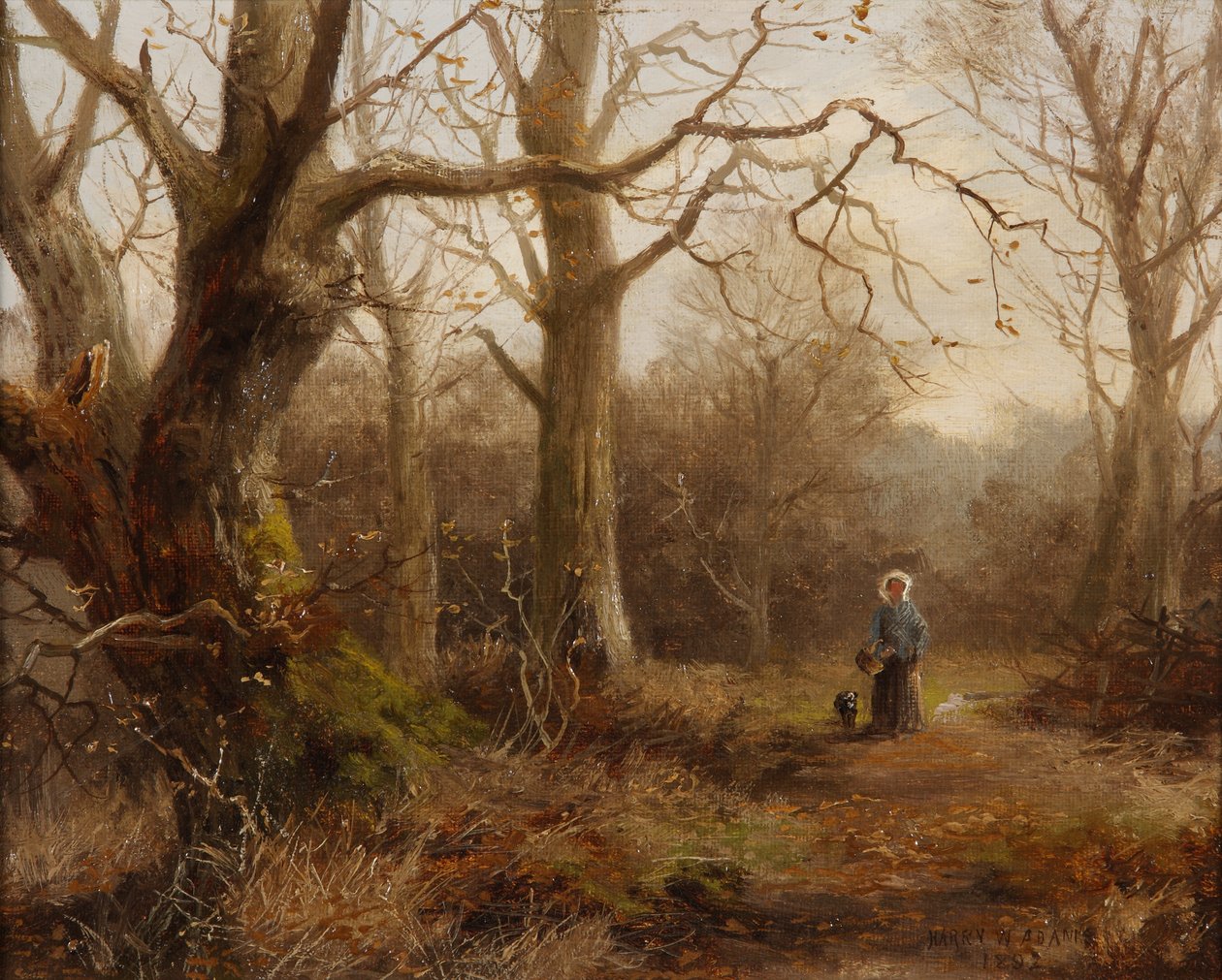 Woodland Scene by Harry William Adams