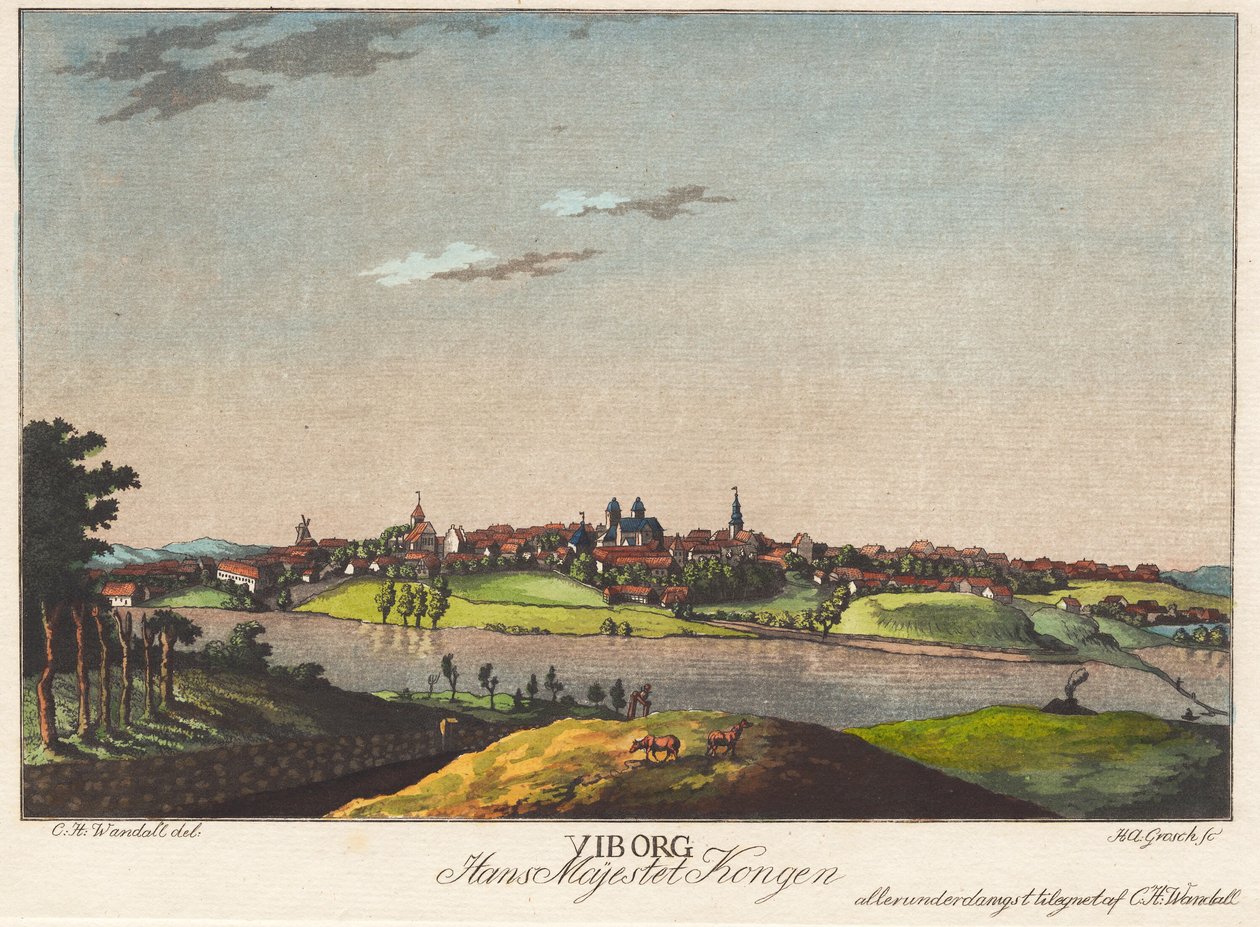 Viborg by Heinrich Grosch
