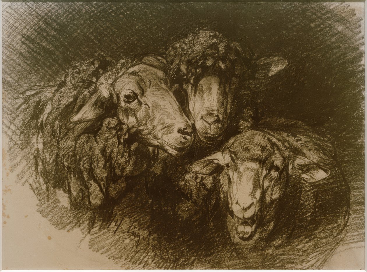 Sheep by Heinrich von Zügel