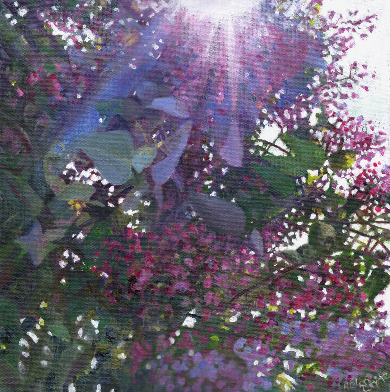 Brilliance by Helen White