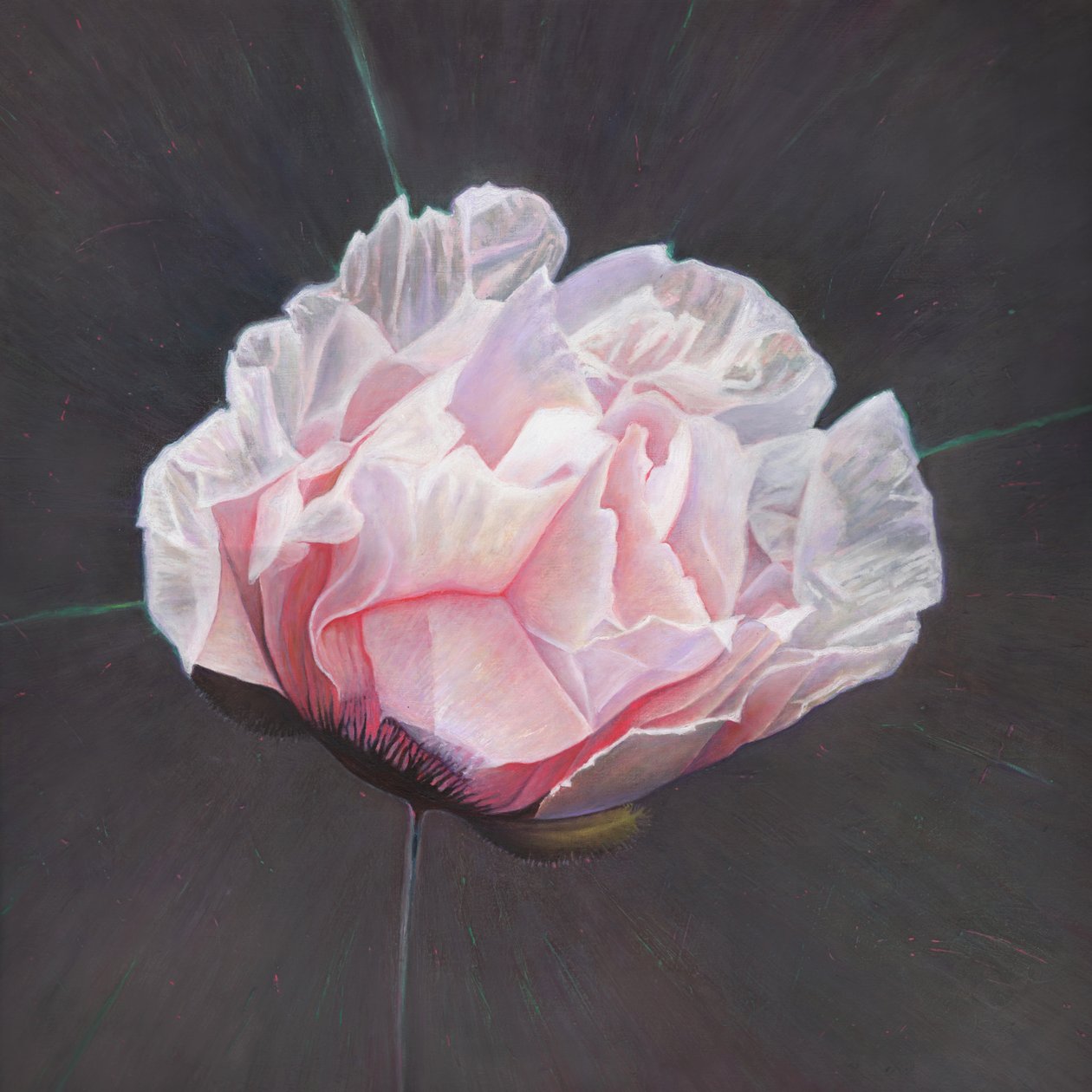 Emergence by Helen White