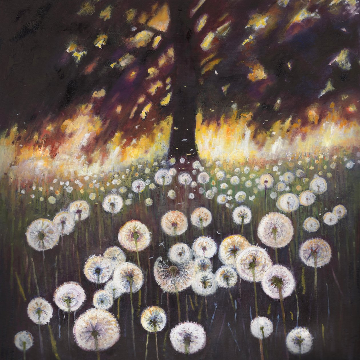 Field of Dreams, 2015 by Helen White