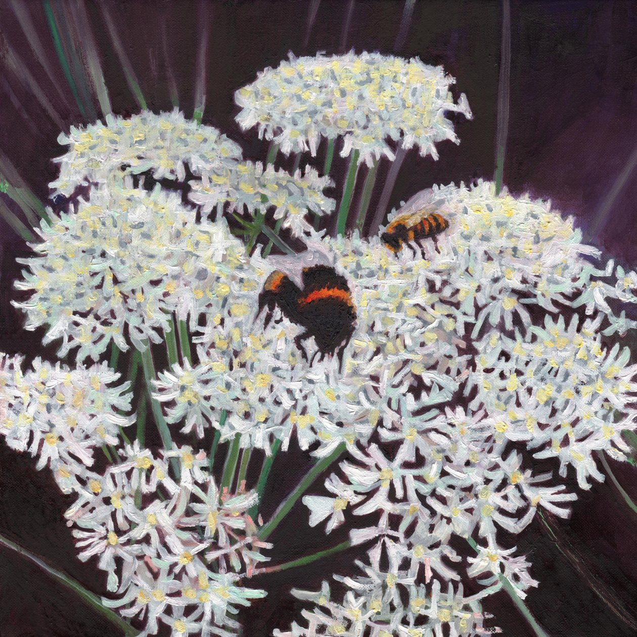 Inflorescence by Helen White