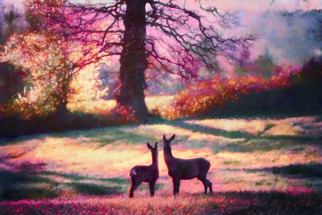 Looking Back by Helen White