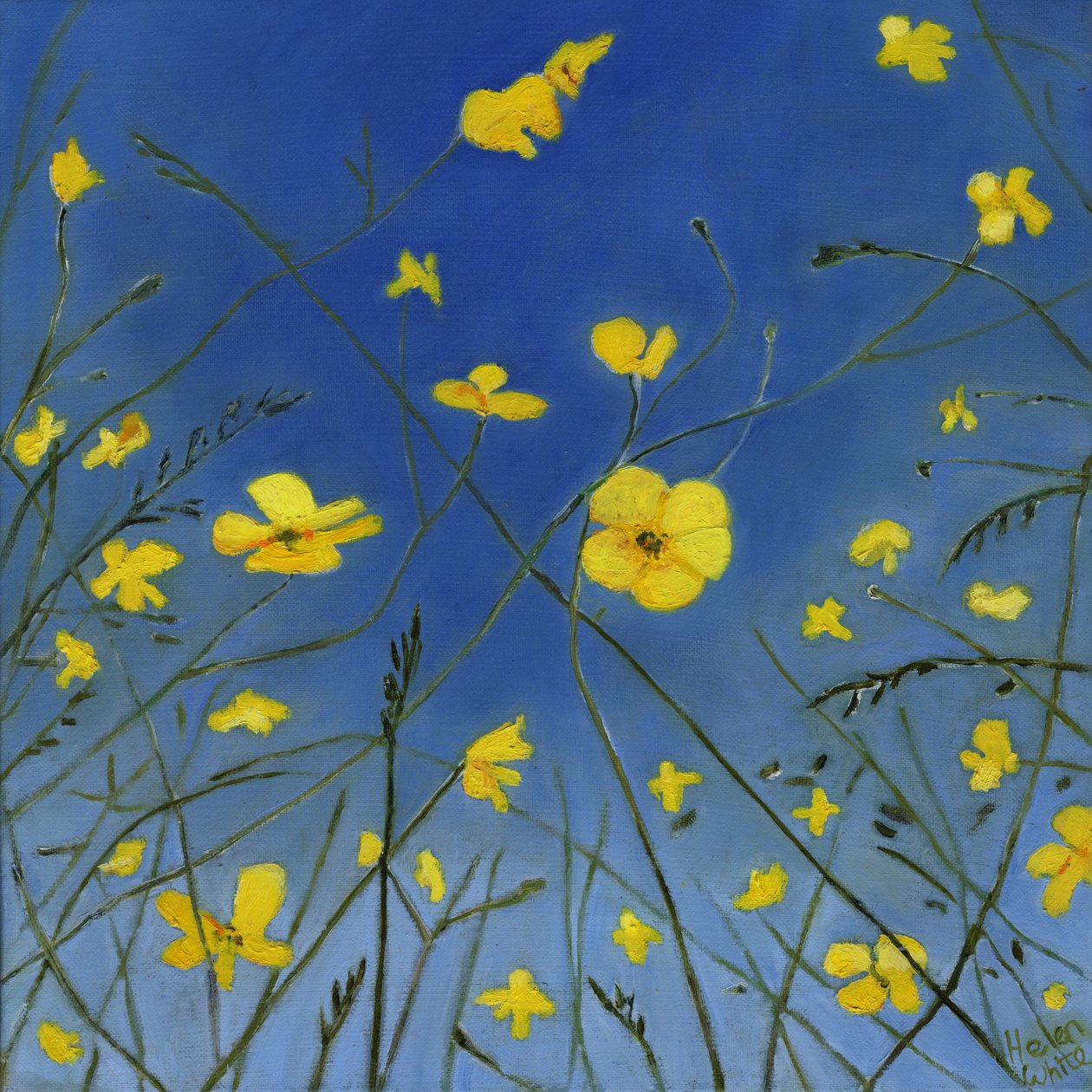 Summer Days and Lazy Ways by Helen White