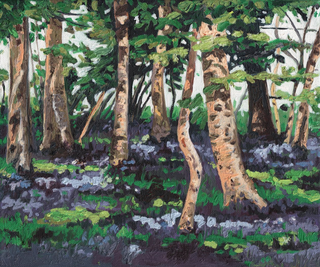 Bluebell Wood by Helen White