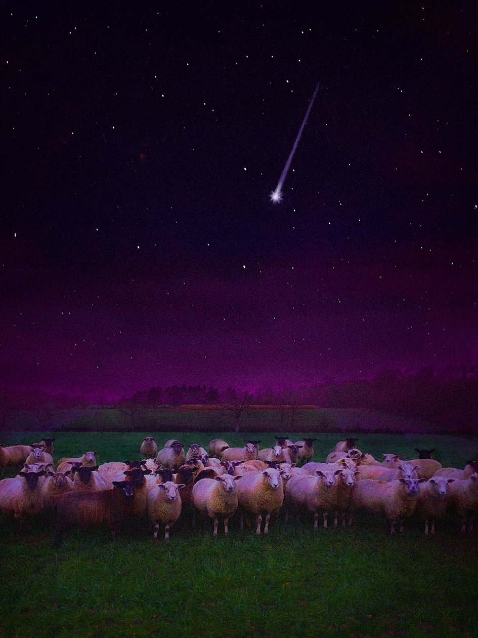 Flock by Night by Helen White