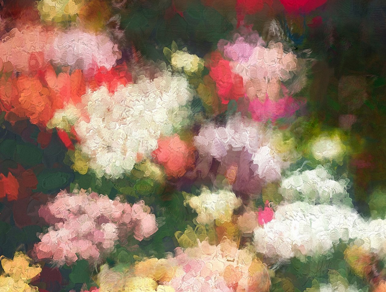 Garden of the Heart by Helen White