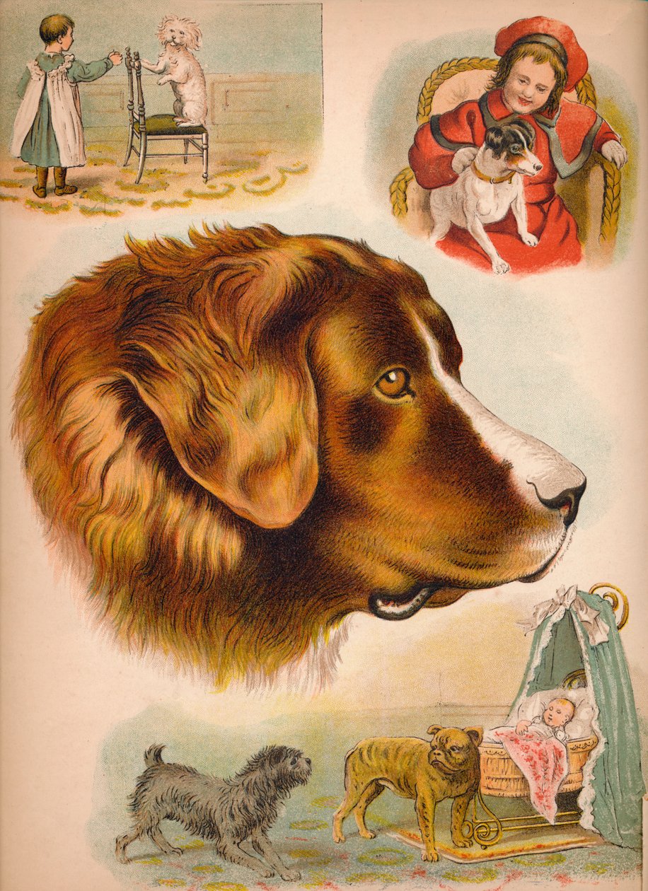 The Dog by Helena J. Maguire