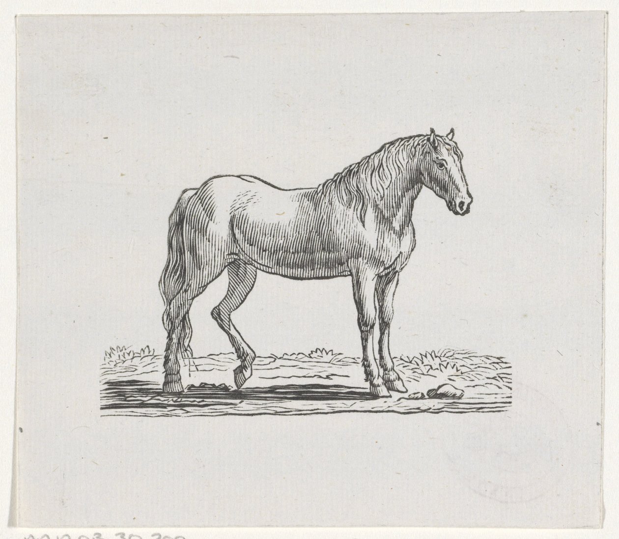 Horse by Hendrik Numan