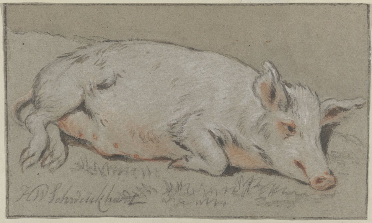 Lying Pig by Hendrik Willem Schweickhardt (signed by artist)