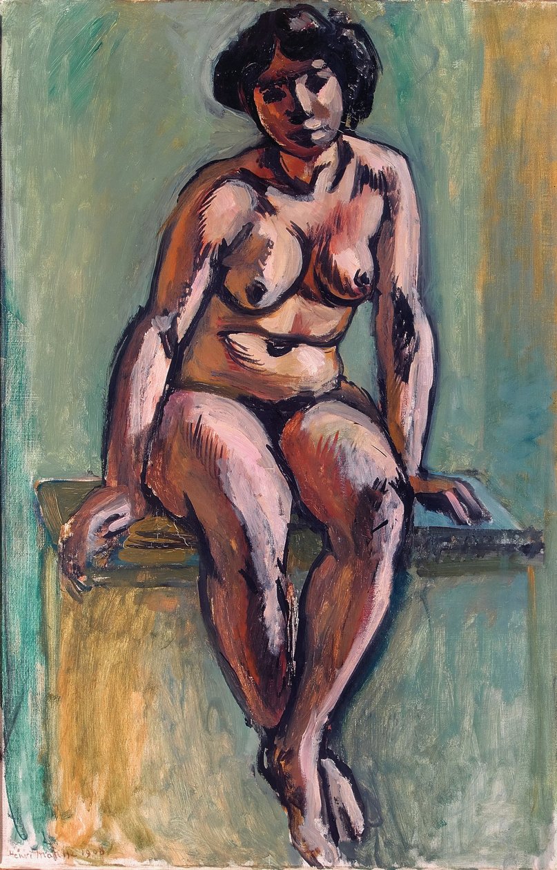 Seated Nude by Henri Matisse