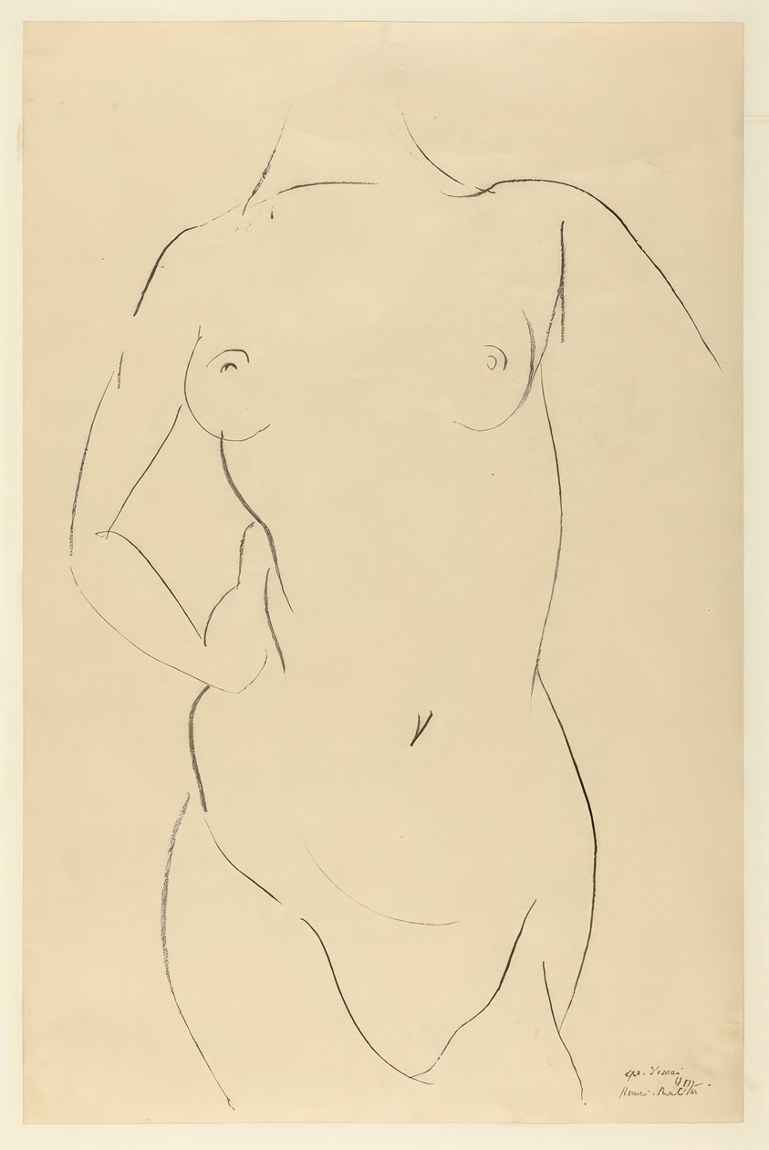 Torso by Henri Matisse