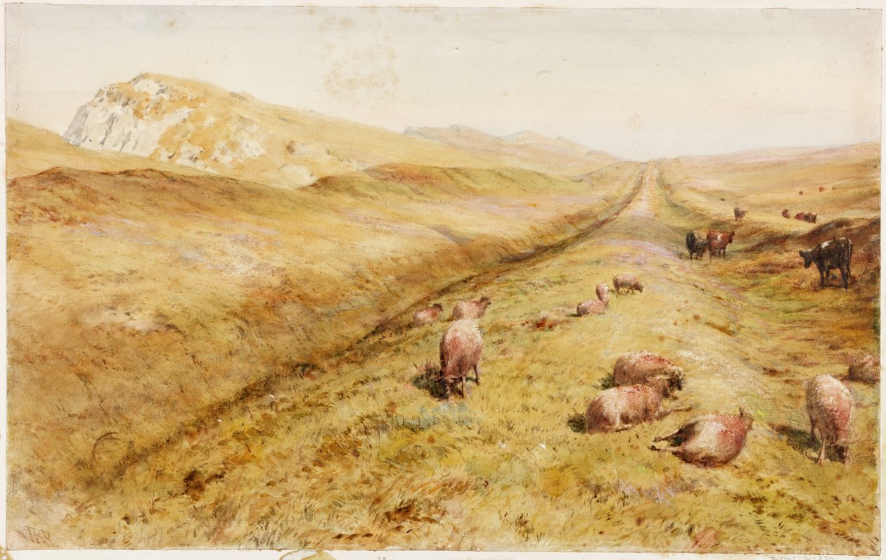 Cawfields by Henry Burdon Richardson