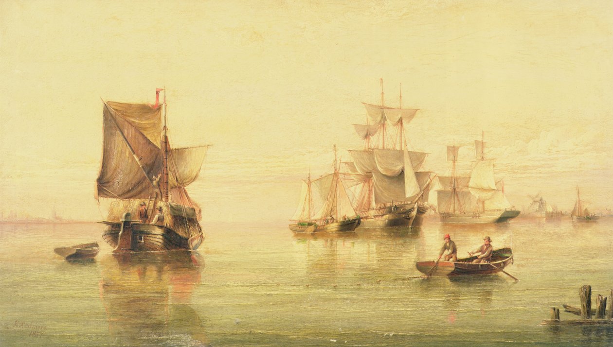 Dutch Pinks by Henry Redmore
