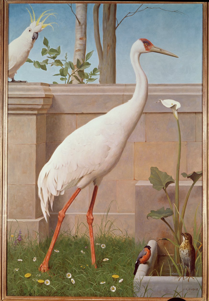 Indian Crane, Cockatoo, Bullfinch and Thrush by Henry Stacey Marks