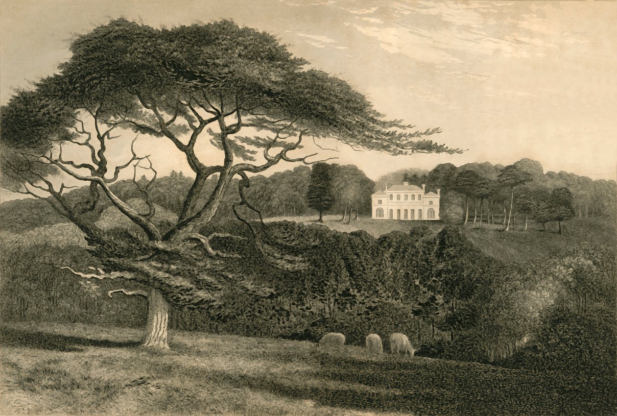 Windmill Hill, 1835 by Henry Alexander Ogg