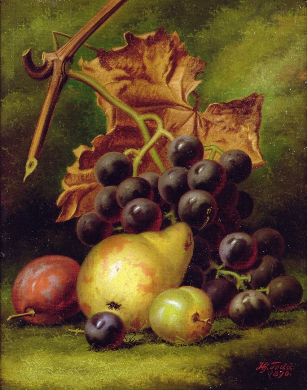 Still Life by Henry George Todd