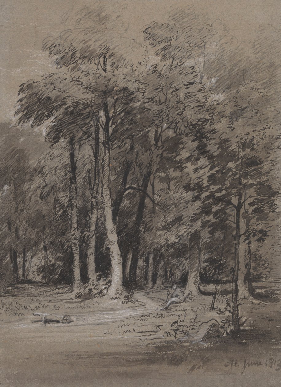 A Wooded Track by Henry Monro