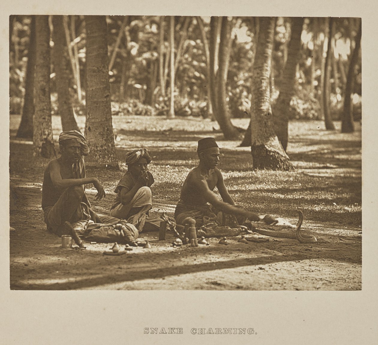 Snake Charming by Henry W. Cave