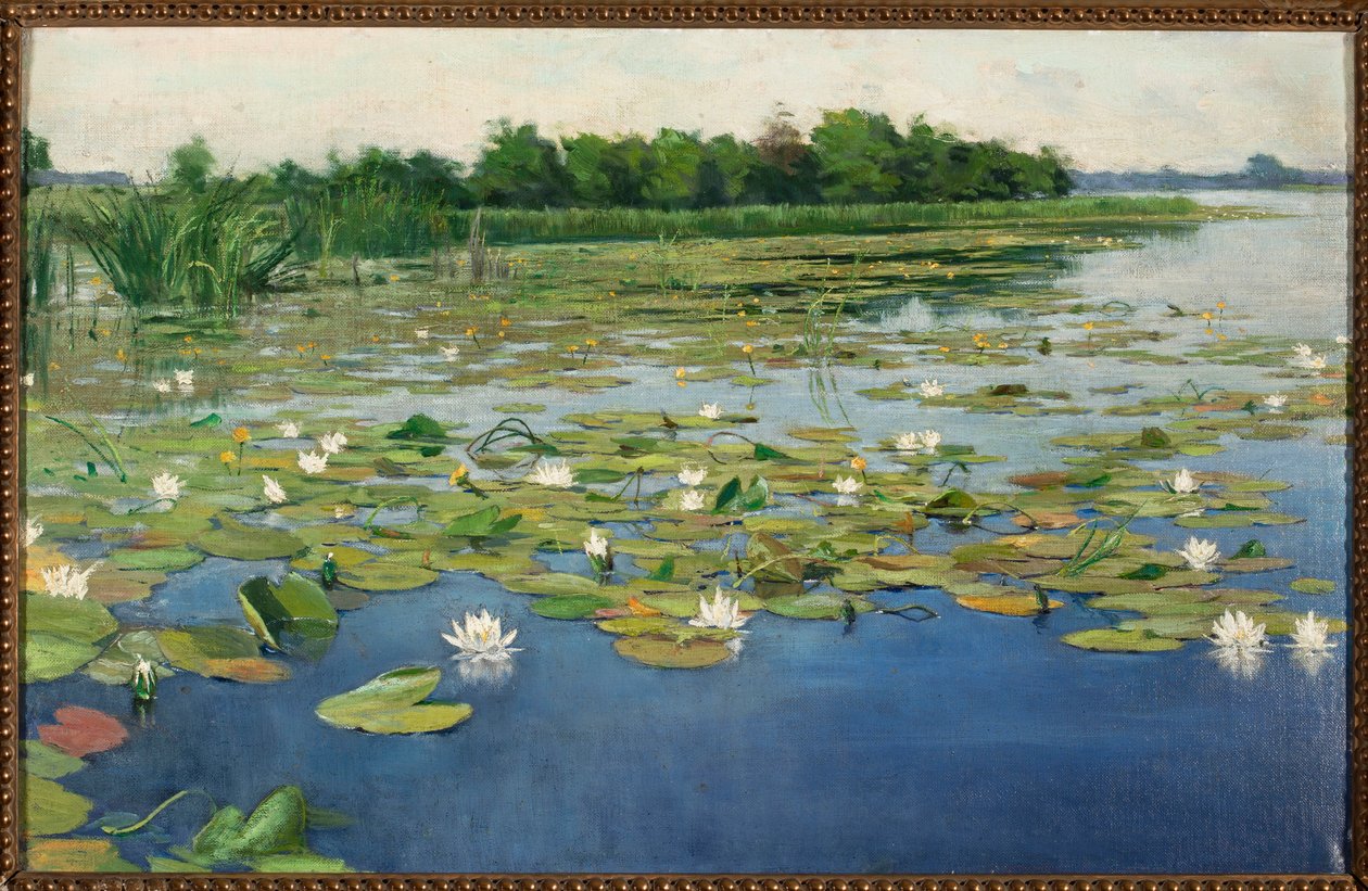 Water Lilies by Henryk Weyssenhoff