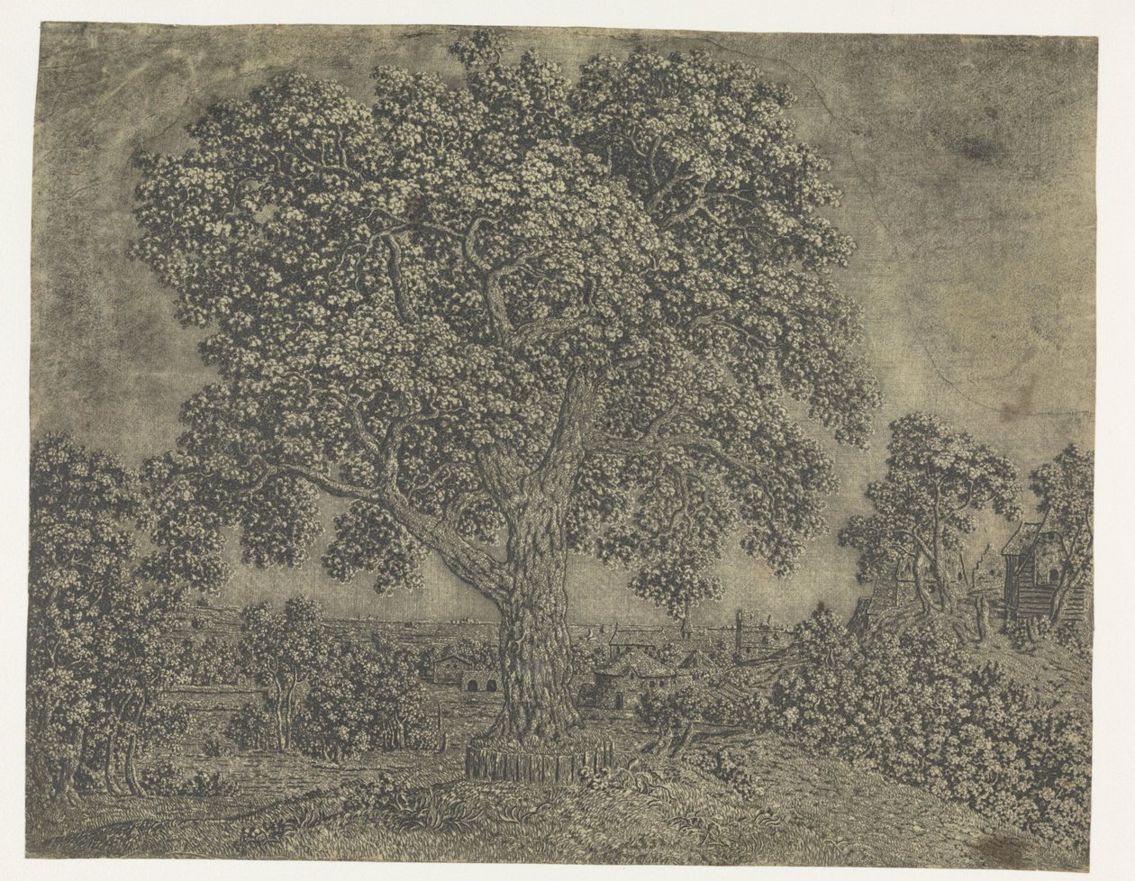The Large Tree by Hercules Segers