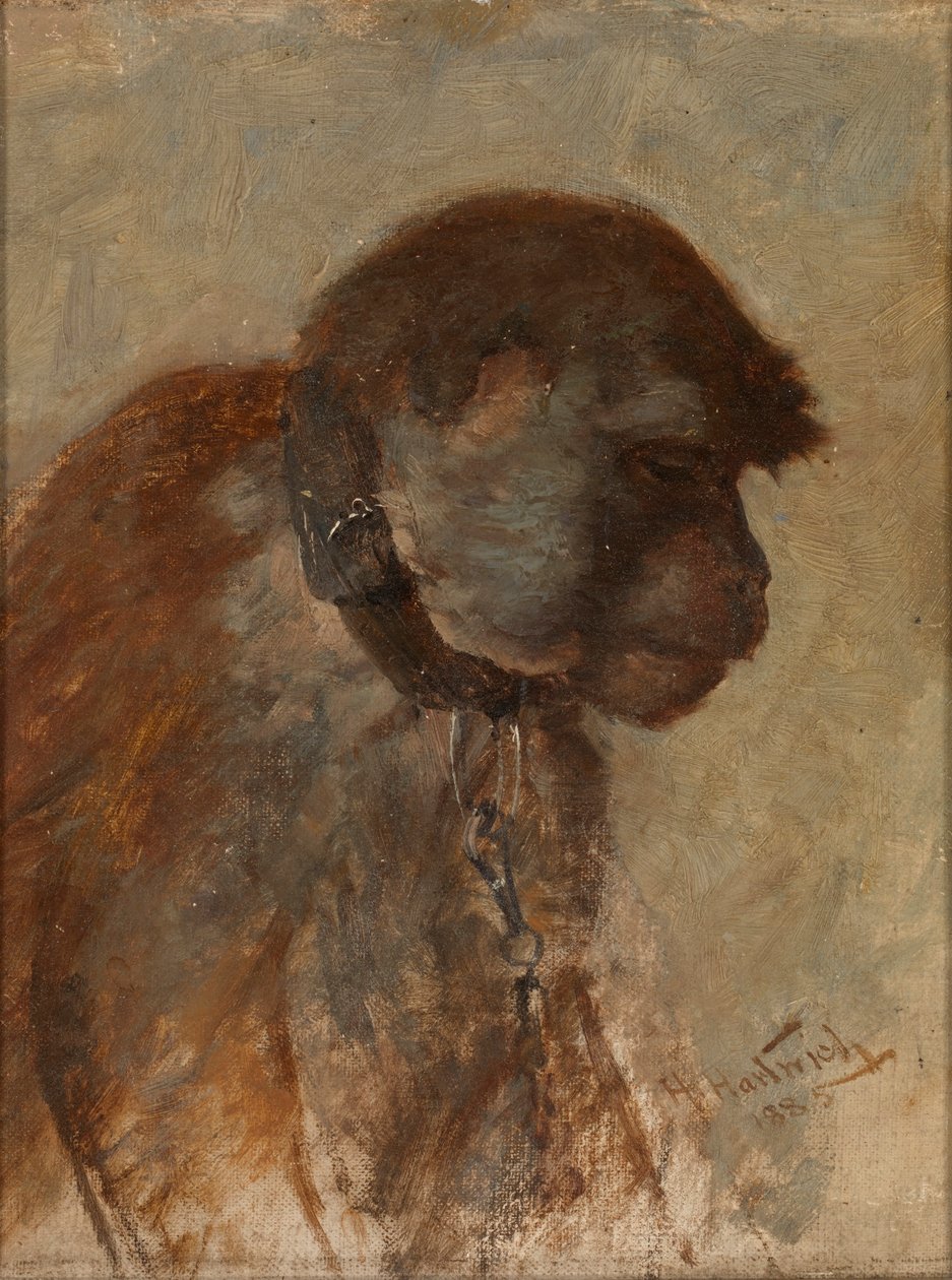 Meditation by Herman Hartwich