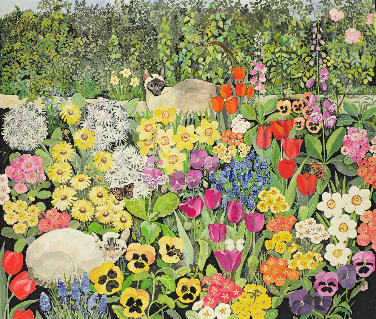 Spring Cats by Hilary Jones