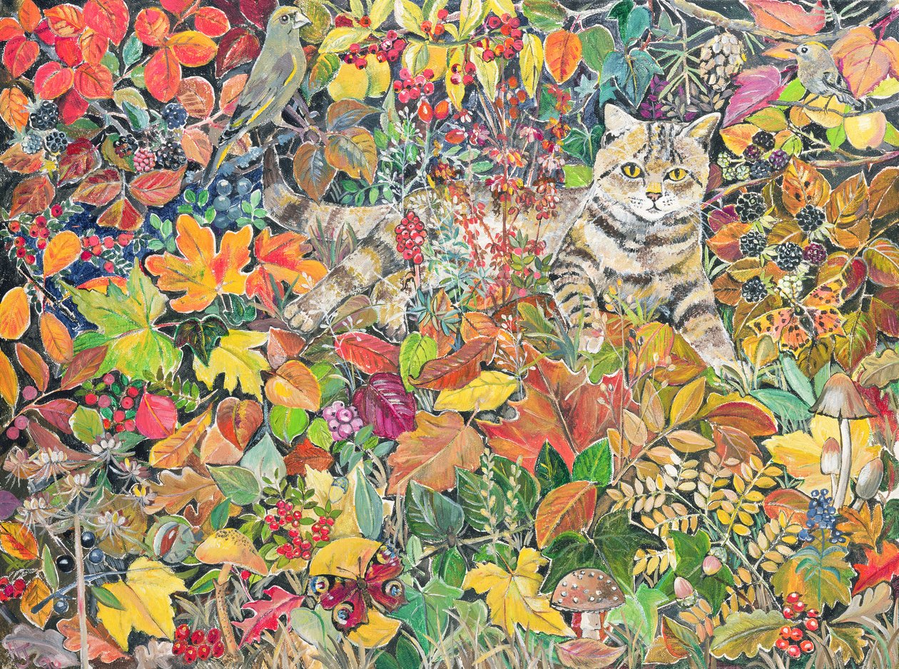 Tabby in Autumn by Hilary Jones