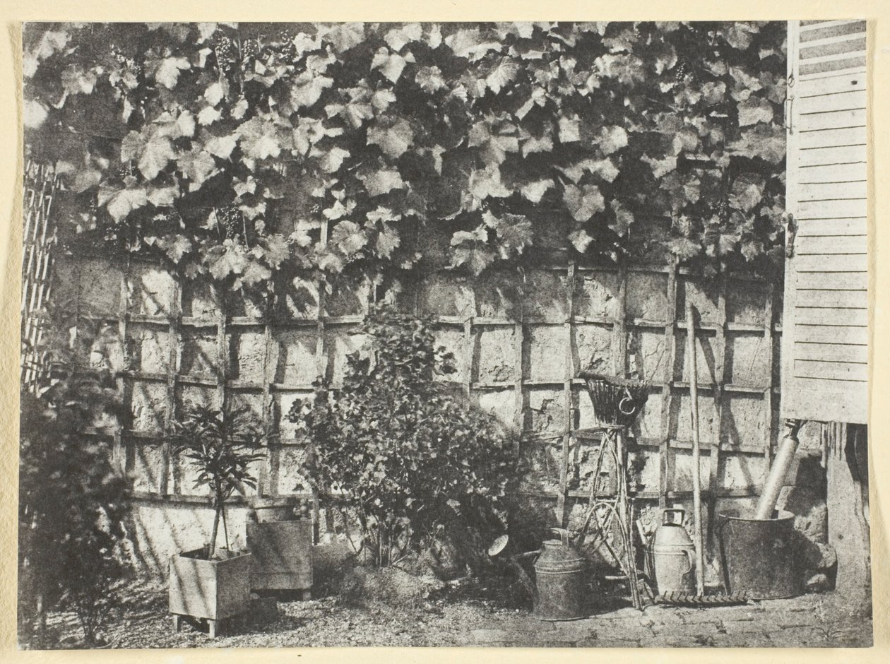 The Trellis by Hippolyte Bayard
