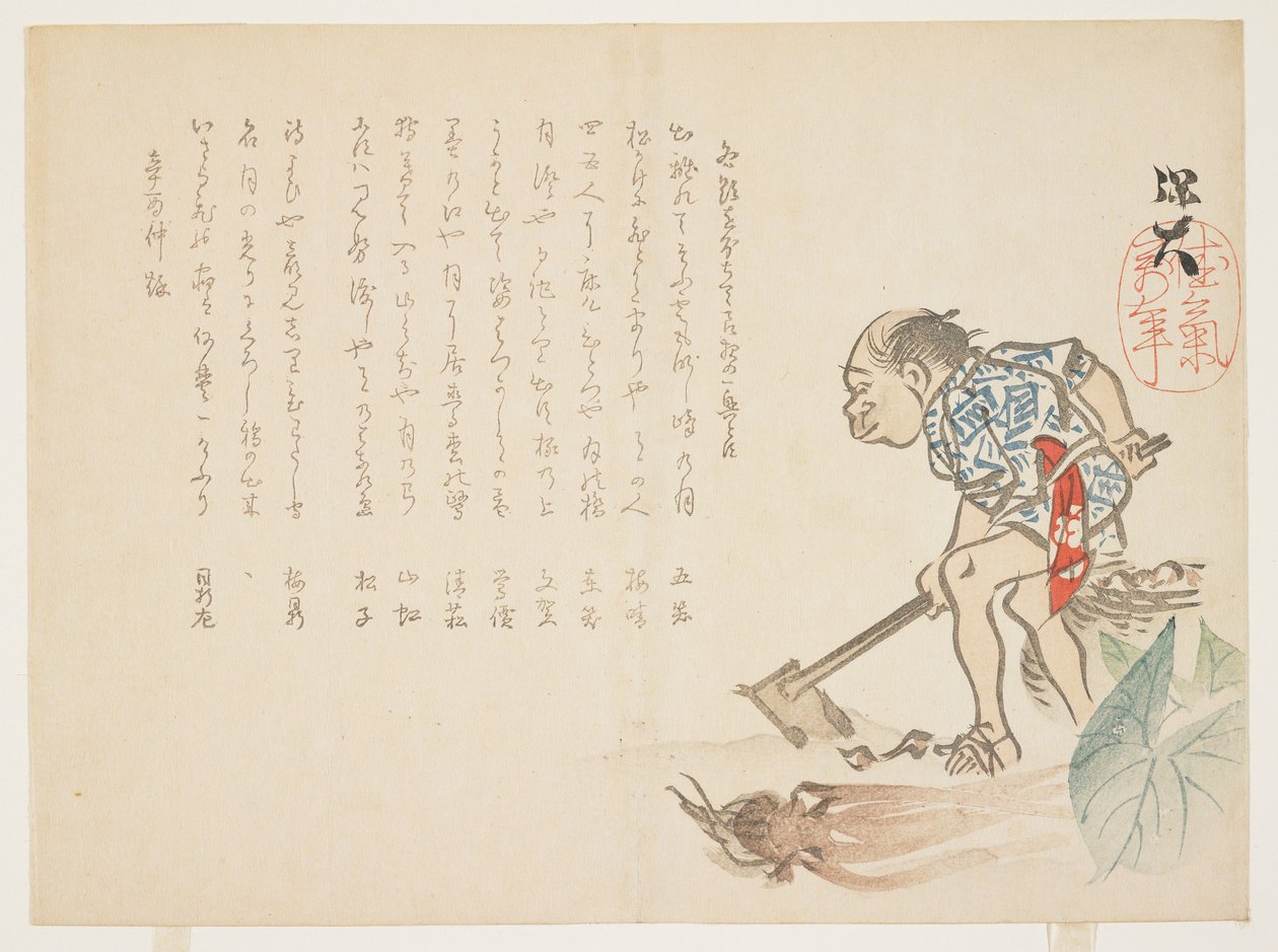Farmer digging roots by Hodai