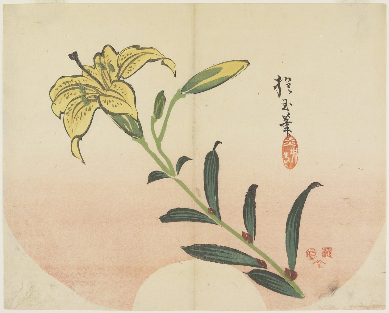Lily, 1839 by Hogyoku