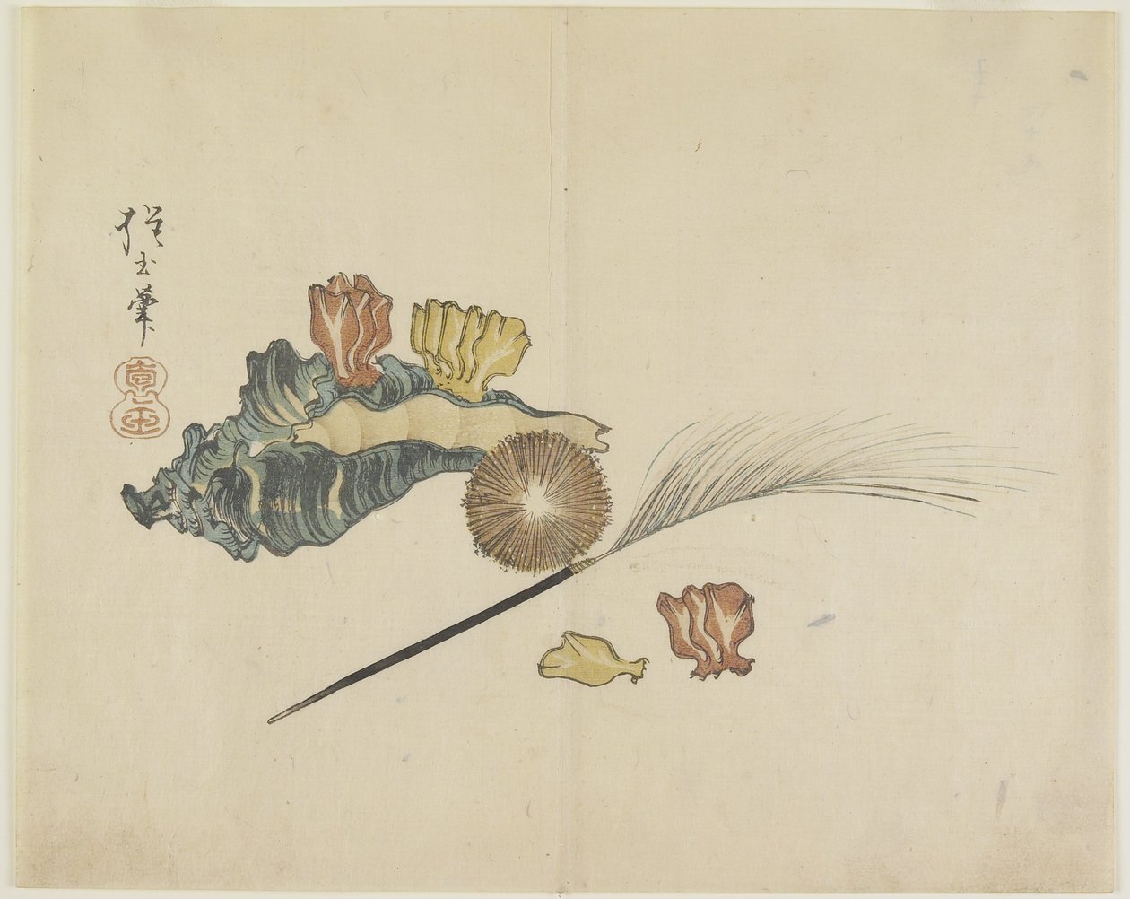 Shells, c. 1830 by Hogyoku